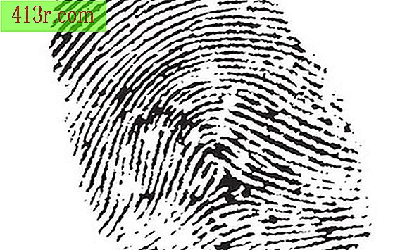 Come utilizzare il lettore di impronte digitali su Dell E4300