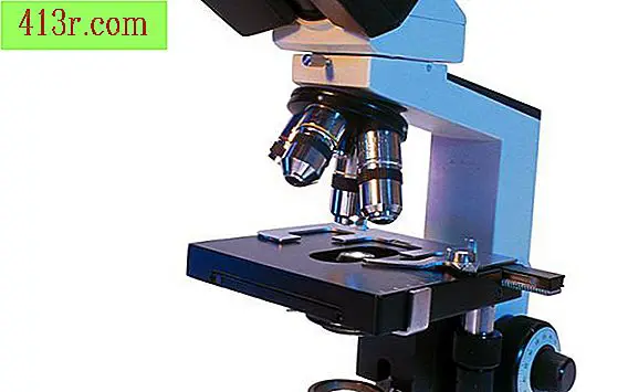 Quelle est la différence entre une loupe et un microscope composé de lumière