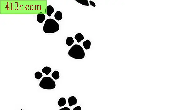 Come creare un impronta di animale con la tastiera del computer