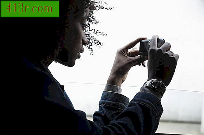 Luați fotografia indicând aparatul foto spre un subiect și vizionând vizorul.