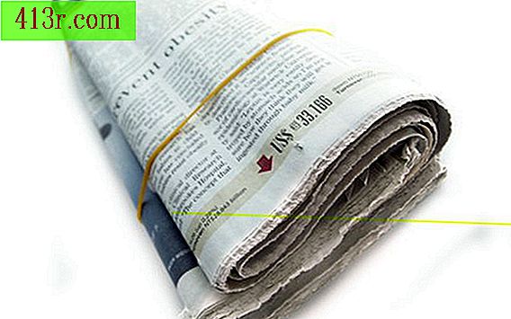 Software pro vydávání novin