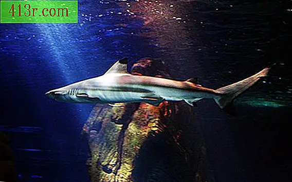Свободният часовник Shark получава името си от рибата, която плува в дълбините.